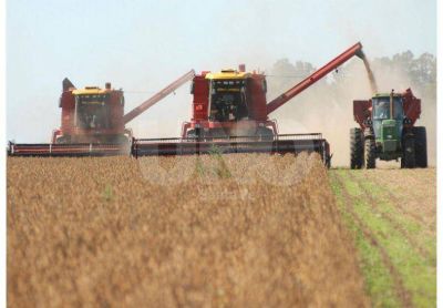 Santa Fe recibe solo el 5% de lo que aporta en retenciones a la soja