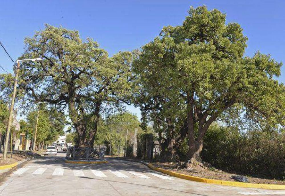  Una de las �ltimas calles de tierra de San Fernando, fue asfaltada y renovada por el Municipio