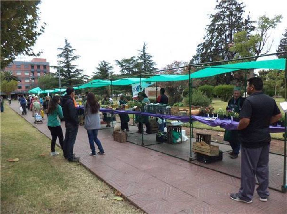 Se realizar� hoy la d�cima Feria Verde