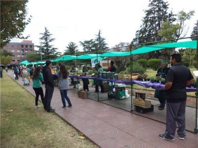 Se realizar� hoy la d�cima Feria Verde