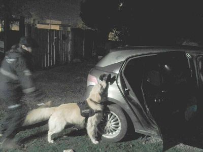 Dos detenidos y secuestro de coca�na