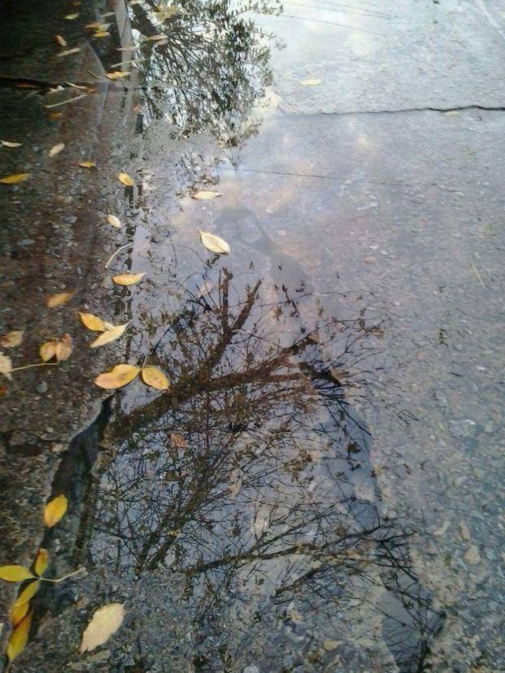 Abundante p�rdida de agua en 8, 71 y 72