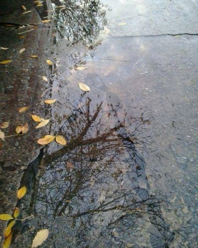 Abundante p�rdida de agua en 8, 71 y 72