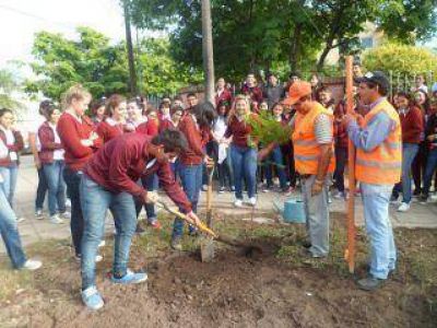 Se plantaron 400 árboles en la ciudad durante el primer cuatrimestre del año