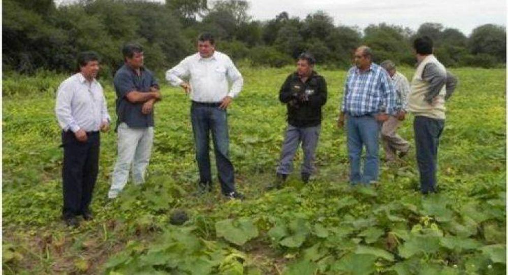 El Gobierno direcciona fuertes polticas de apoyo a la produccin hortcola