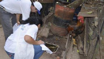 El joven correntino con leishmaniasis sigue estable: anuncian m�s controles