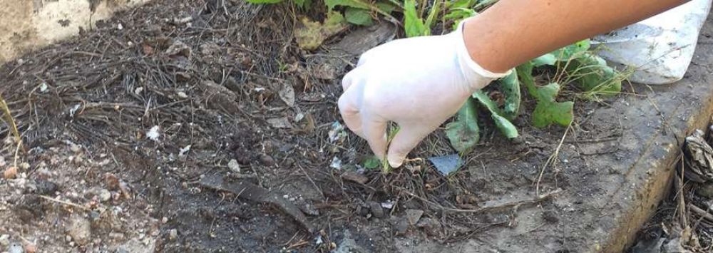 Especialistas de cordoba analizar�n agua, suelo y vegetales de Nonogasta