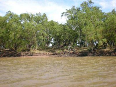Preocupaci�n por la continuidad de la Bi�sfera Delta del Paran�