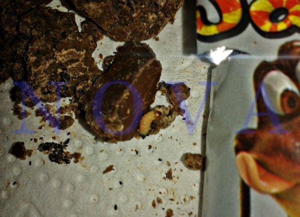 Arcor se lava las manos, salvo para fabricar sus chocolates: ni�o comi� un Sapito relleno con gusano