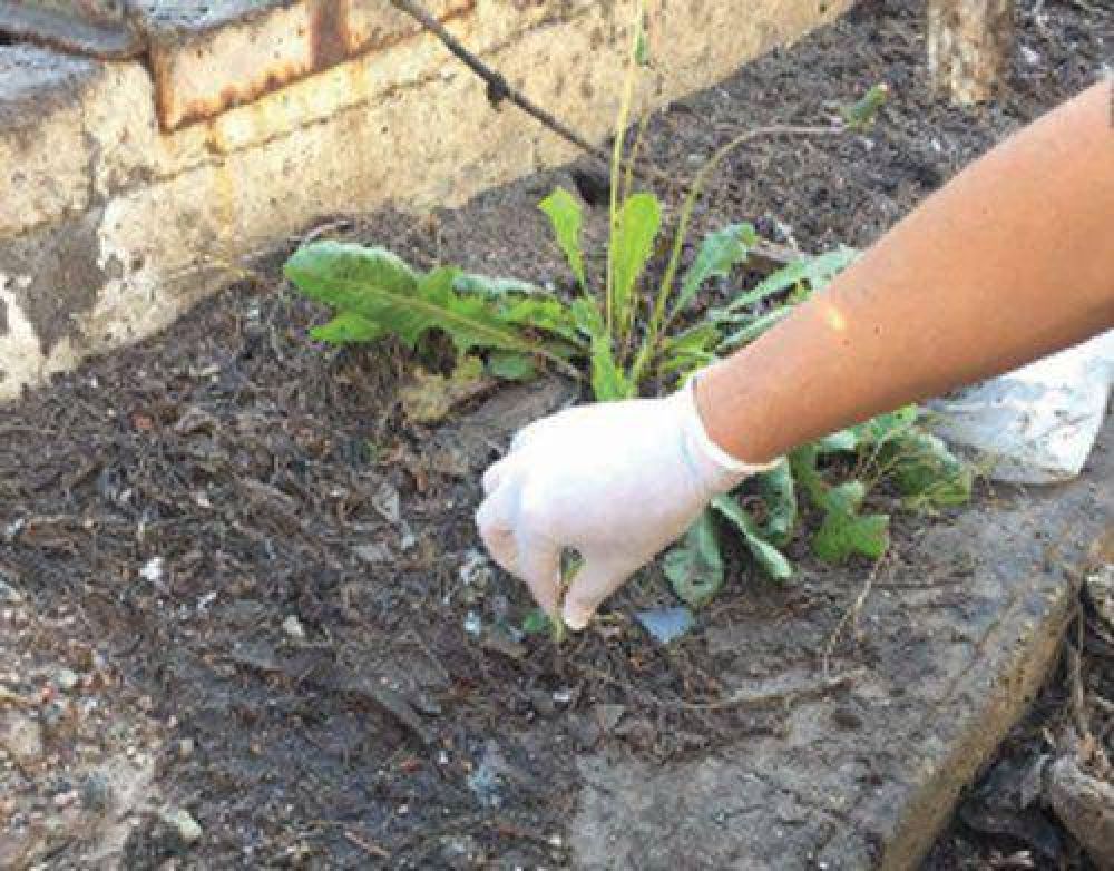 Tomaron para analizar muestras de suelo y agua de Nonogasta