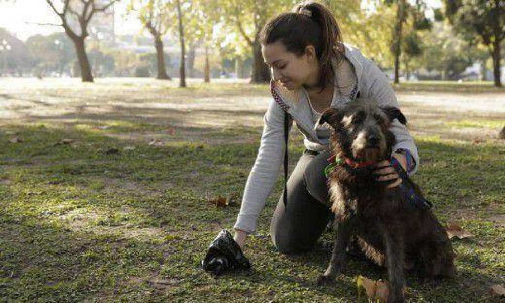 Las mascotas tendr�n chip, seguro y �ba�os p�blicos�