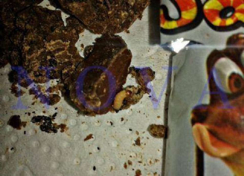 Arcor se lava las manos, salvo para fabricar sus chocolates: Ni�o comi� un �Sapito� relleno con gusano