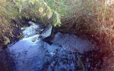 Vecinos denuncian que la Municipalidad de Ramallo 