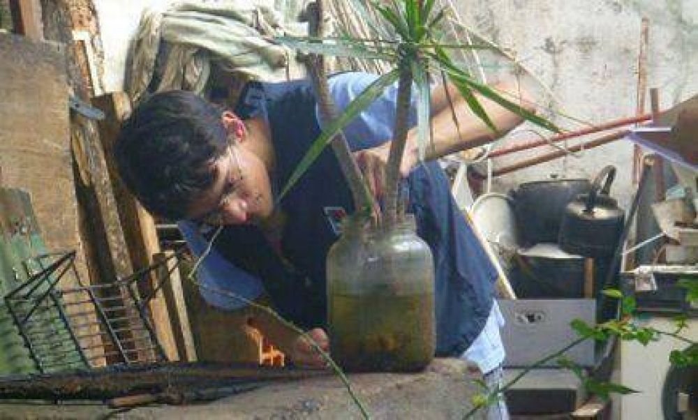Liraa: El Centro, Villa Urquiza y Villa Cabello son los barrios con m�s mosquitos