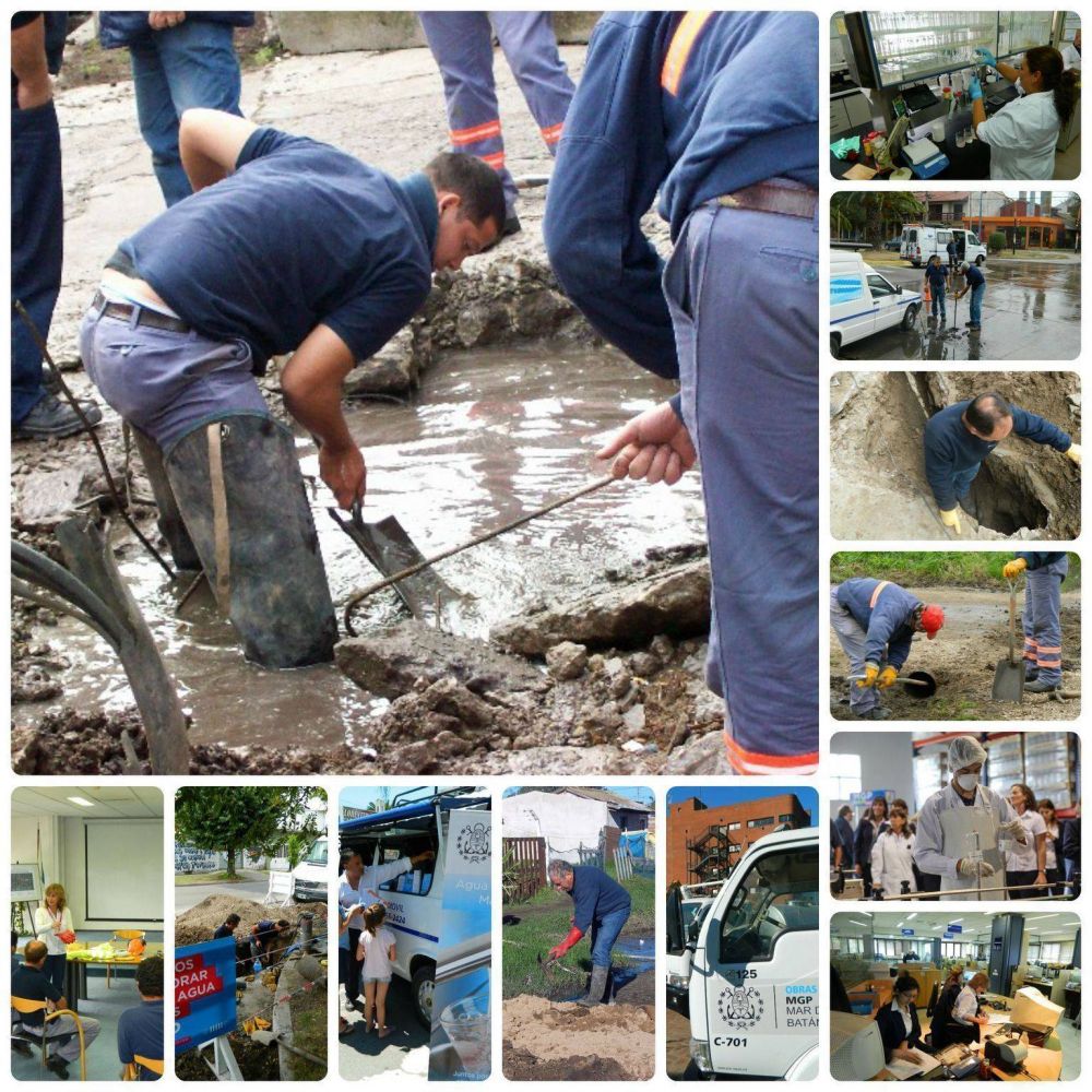 15 de Mayo: se celebra el D�a del Trabajador Sanitarista