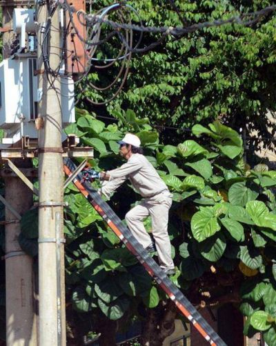 Este jueves habr� cortes de energ�a el�ctrica en el interior de Misiones