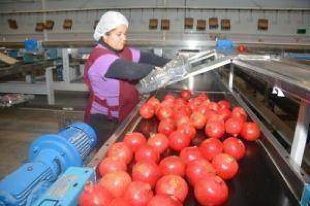 San Juan lidera en exportaci�n de granadas