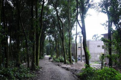 �No son muchos los loteos irregulares en El Corte�