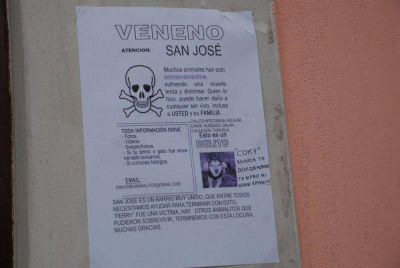 Vecinos denunciaron envenenamiento de perros