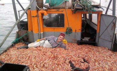 Las paradojas del empacho de langostino