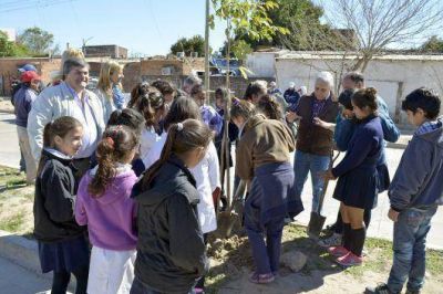 La Municipalidad lanza el proyecto educativo y ambiental �Mi Ciudad Arbolada�