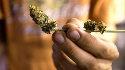 Uruguay dilata la venta legal de marihuana: 