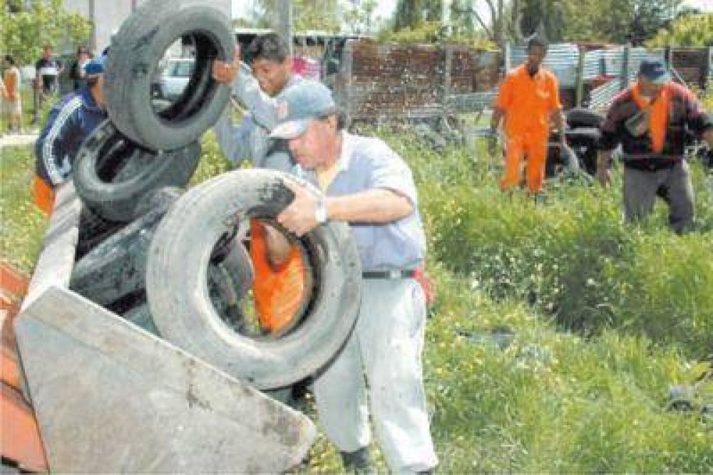 Los casos de dengue se redujeron un 85%