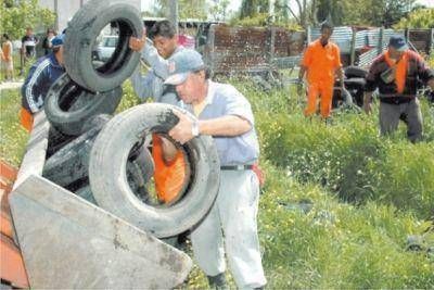 Los casos de dengue se redujeron un 85%