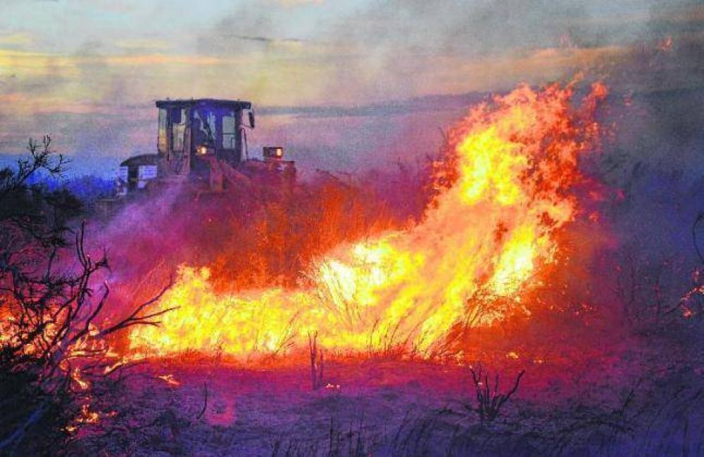 Voraz incendio en Senillosa