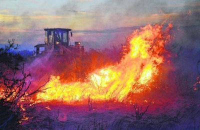Voraz incendio en Senillosa