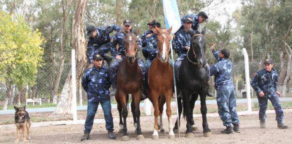En dos a�os, crecieron de 2 a 14 los caballos de la Polic�a Montada