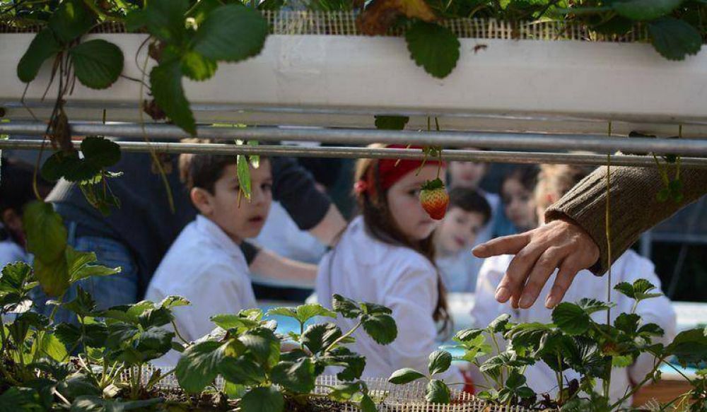 Ciudad: M�s de 390 escuelas con huertas org�nicas