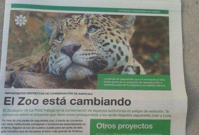Pol�mica con el diario �La Capital�: Denuncian que Bruera imita al fascismo alem�n