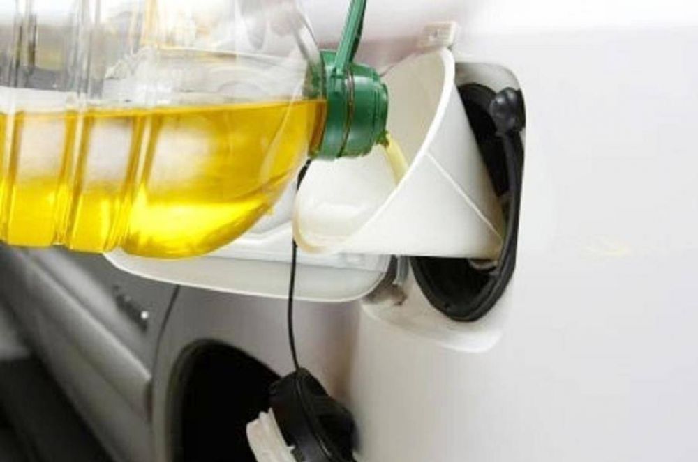 La Municipalidad busca una nueva alternativa de energ�a para los veh�culos