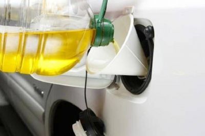La Municipalidad busca una nueva alternativa de energ�a para los veh�culos