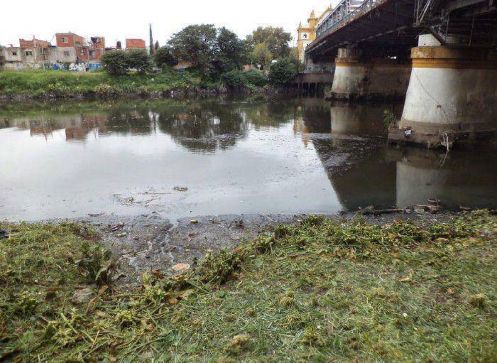Usan vegetales para reducir la contaminaci�n de la Cuenca Matanza Riachuelo