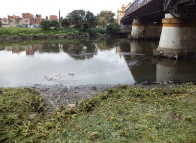 Usan vegetales para reducir la contaminaci�n de la Cuenca Matanza Riachuelo