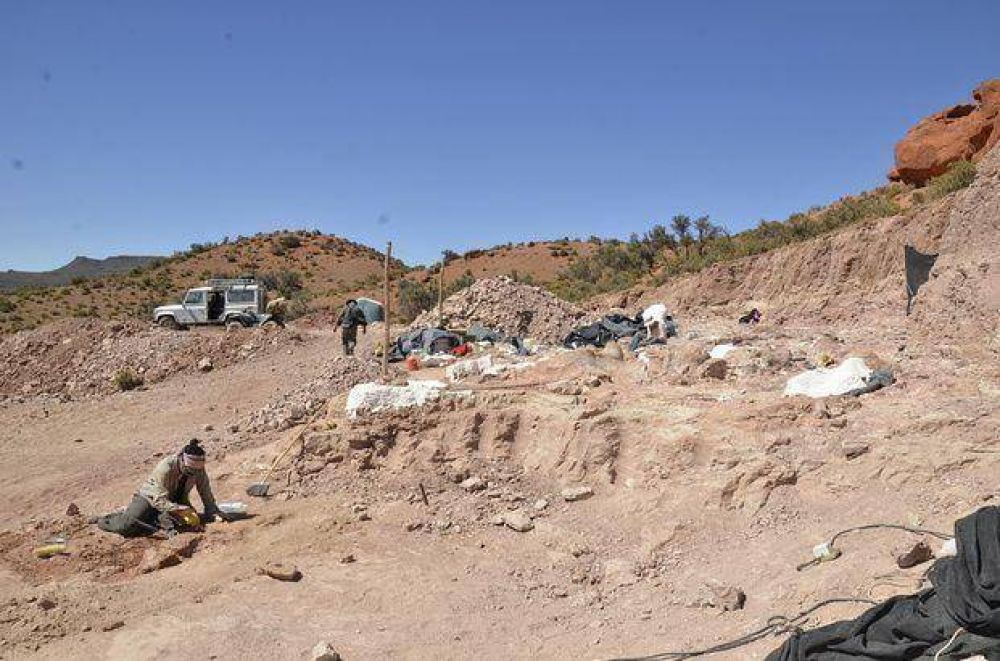 Un cient�fico platense en dos grandes hallazgos mundiales sobre dinosaurios