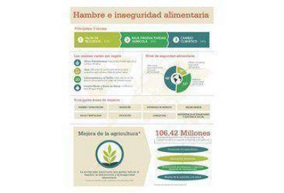 Estudio mundial de Caritas indica principales causas del hambre