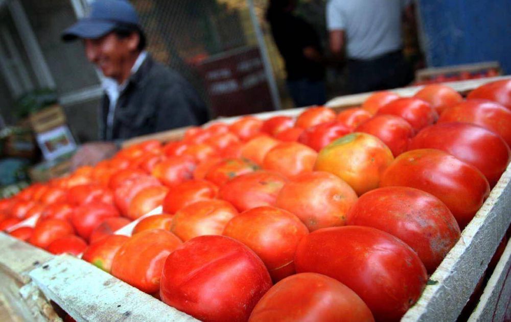 Inundaciones del Noreste, hacen subir precio del tomate en Mendoza