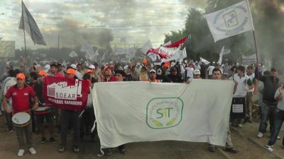 Aceiteros, 18 d�as de paro: hay 40 barcos parados y las empresas ya perdieron millones de d�lares