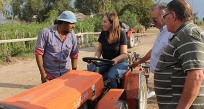 Una publicaci�n de campa�a de Vidal toma a un viverista sampedrino como ejemplo