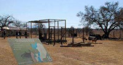 Salta avanza en el rescate rehabilitaci�n e investigaci�n de la fauna aut�ctona. 