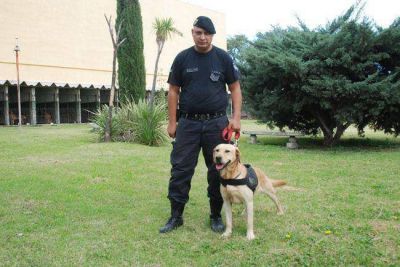Ocho perros colaboran en la lucha contra la droga en la provincia