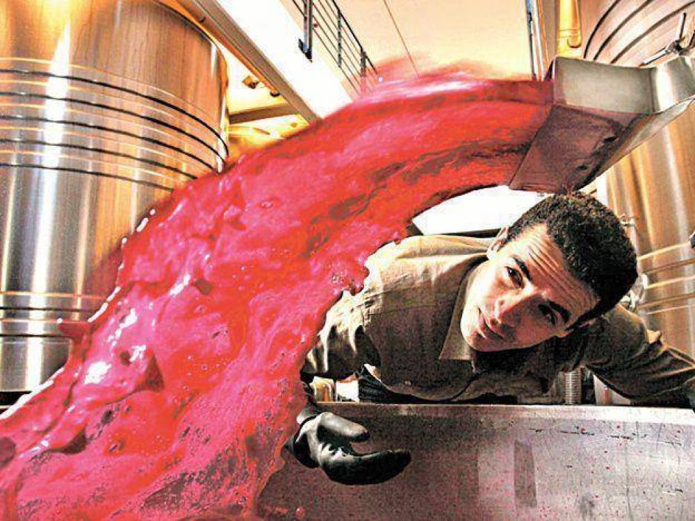 Potencian producci�n audiovisual mendocina a trav�s de Film Andes