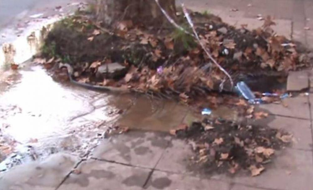 Parece una fuente, pero es una p�rdida de agua que ABSA no repara