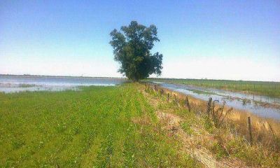 Siguen los problemas en la red vial provincial tras las inundaciones