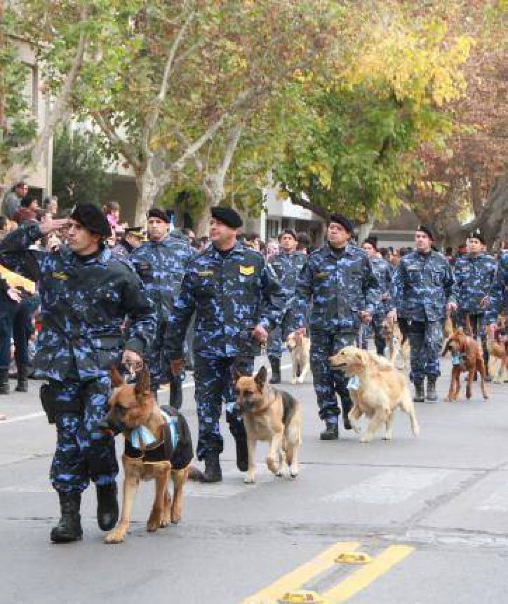 Los perros y las mulas, las atracciones entre los ni�os