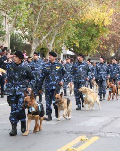 Los perros y las mulas, las atracciones entre los ni�os