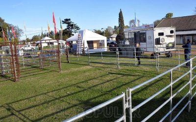 Este mi�rcoles comienza La Naci�n Ganadera en Olavarr�a